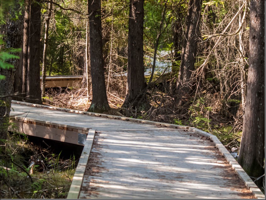 The Boardwalk at Brokenhead Wetlands