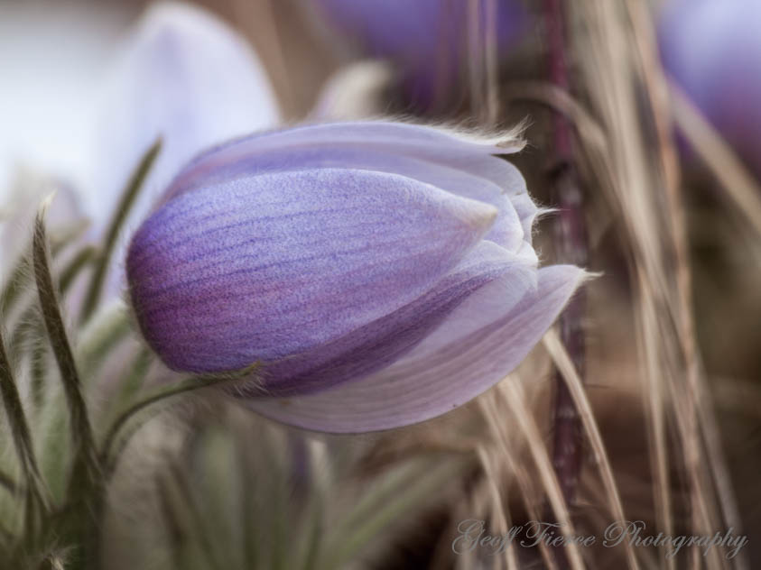 20160917 gfp 6074 edit 2