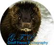 Geoff Fierce Photography