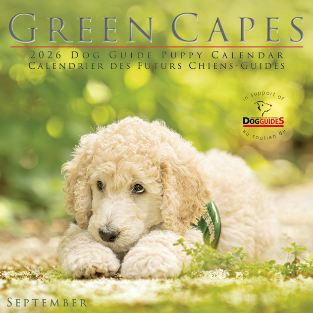 20250913 Mock Cover August